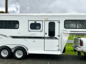 2003 2 Horse Trailer Sundowner Diamond Sport‼️