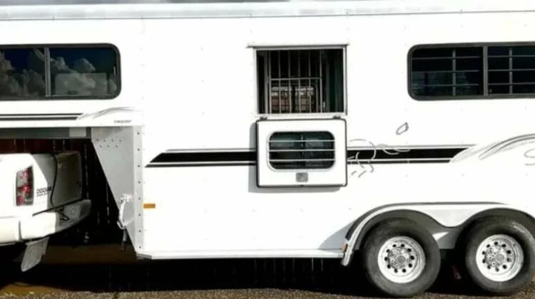 2003 2 Horse Trailer Sundowner Diamond Sport‼️