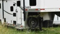 2020 Lakota Colt AC829 horse trailer