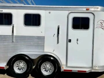 2009 EXISS es 310 e 3 horse LQ‼️