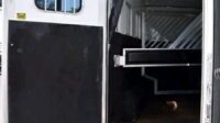 2005 Featherlite LQ 3 Horse Trailer with 9′ Short Wall